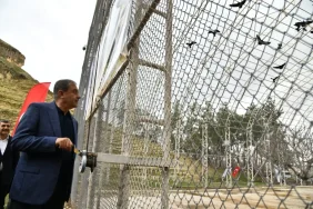 Bereketin-simgesi-277-kelaynak-kafeslerinden-dogaya-birakildi-featured