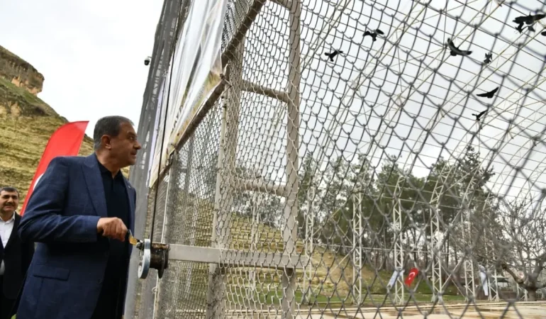 Bereketin-simgesi-277-kelaynak-kafeslerinden-dogaya-birakildi-featured