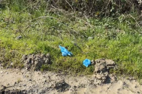 El-ve-ayaklari-bagli-Cinli-is-insaninin-cesedi-gomulu-bulundu-featured