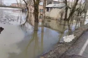 Mus8217ta-Saganak-Sonrasi-Su-Baskini-Ev-ve-Ahirlar-Etkilendi-featured