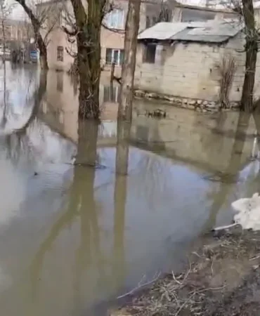 Mus8217ta-Saganak-Sonrasi-Su-Baskini-Ev-ve-Ahirlar-Etkilendi-featured