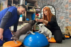 Obez-Ikiz-Kopeklerin-Zayiflama-Sirri-Spor-ve-Pilates-featured