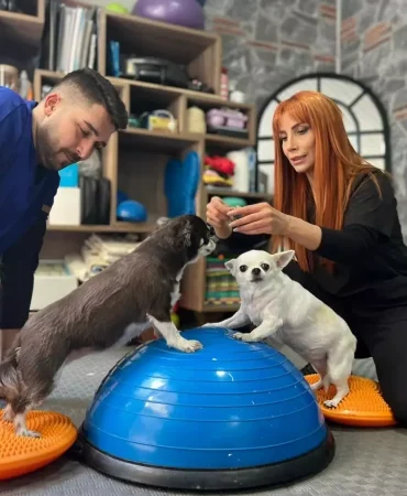 Obez-Ikiz-Kopeklerin-Zayiflama-Sirri-Spor-ve-Pilates-featured