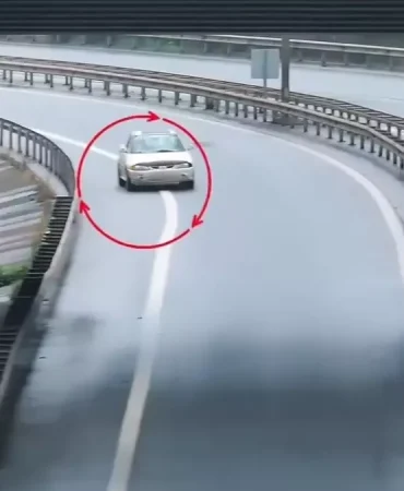 Polisi-Gorunce-Otoyolda-Geri-Manevra-Yaparak-Uzaklasti-featured