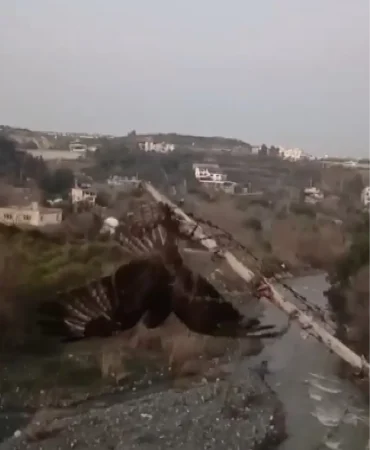 Tellerde-Mahsur-Kalan-Sahin-Ozgurlugune-Kavustu-featured